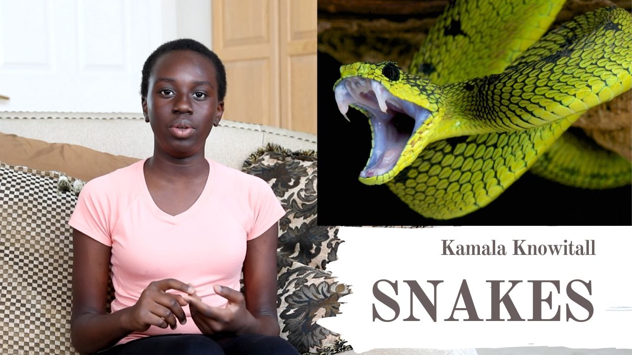 Snakes Classification by Kamala Knowitall